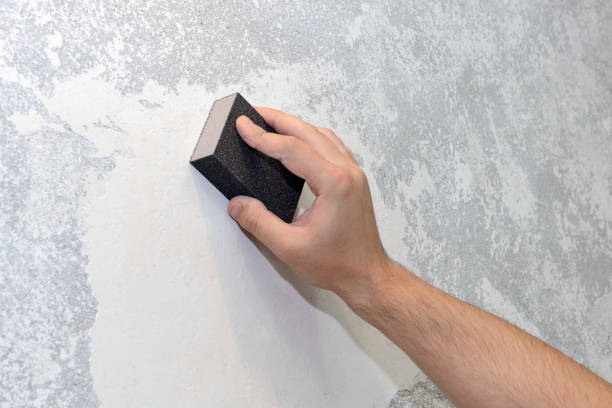 Reliable Fremont, OH Mold Removal Solutions