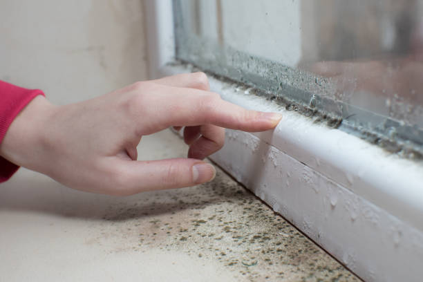 Mold Remediation for Rental Properties in Fremont, OH