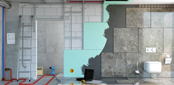 Best Black Mold Removal  in Fremont, OH