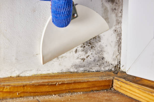 Best Indoor Air Quality Assessment  in Fremont, OH