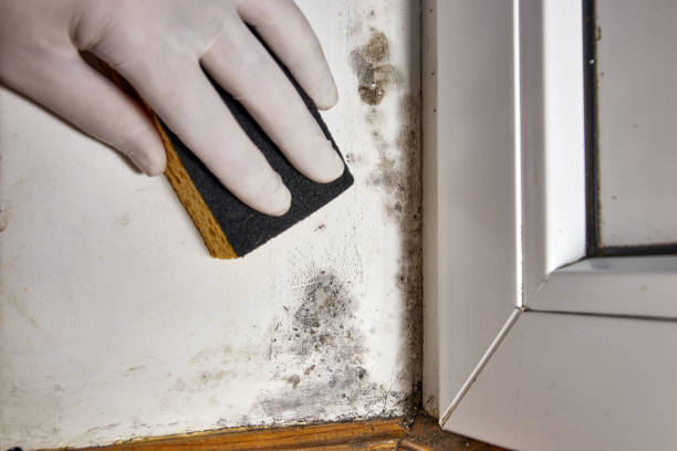 Best Post-Remediation Verification Testing  in Fremont, OH