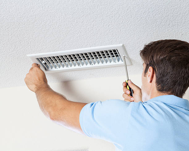 Best Industrial Mold Remediation  in Fremont, OH