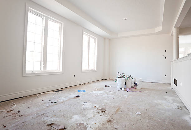 Reliable Fremont, OH Mold Removal Solutions