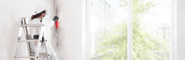 Best Mold Remediation for Healthcare Facilities  in Fremont, OH